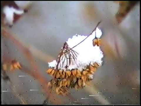 Видео: Город Сокол в 90-х (Большой ролик без обрезок)