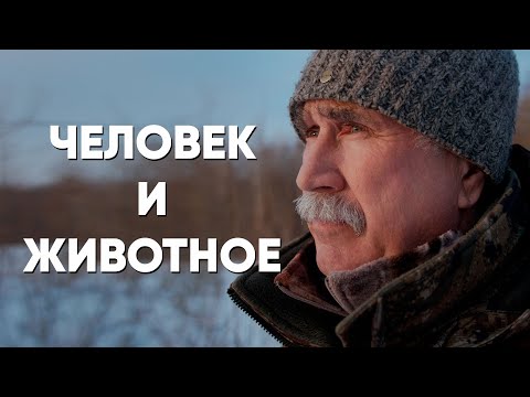 Видео: Друг, которого я ем: фильм об отношениях человека и животных