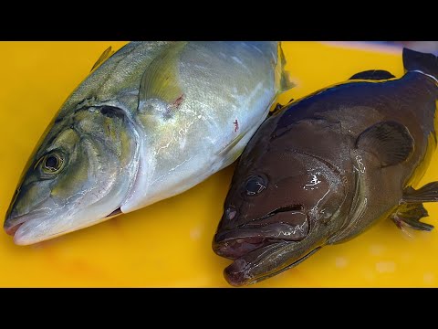 Видео: Настоящие короли сашими: сима-адзи и групер!Каково на вкус?