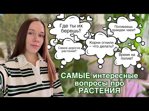 Видео: Вы спрашивали — я отвечаю. Честно, даже на глупые вопросы, про растения