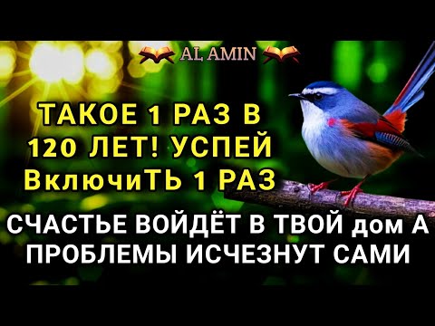 Видео: ☝️😊 УСПЕЙ ВКЛЮЧИТЬ 1раз! СЧАСТЬЕ ВОЙДЁТ В ДОМ, А ПРОБЛЕМЫ ИСЧЕЗНУТ САМИ! Это Чудо 🔊🤲✨🔑💯