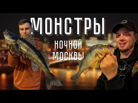 Видео: Ночные МОНСТРЫ на ВИБЫ и ДЖИГ! Стритфишинг в столице