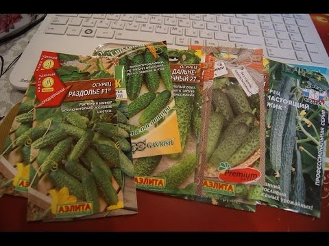 Видео: Лучшие семена ОГУРЦОВ 2015г. Мой выбор.