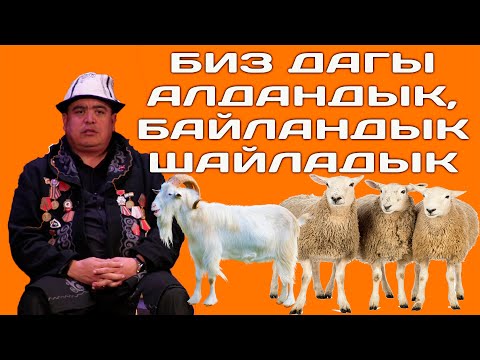 Видео: ТЫНАР&БОРОНЧУ//ЛЕГЕНДАРНЫЙ 120 КОЙ ОРГИНАЛЫ //ЭРТЕҢ ШАЙЛОО БҮГҮН КӨР.