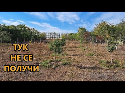 Видео: Промяна в плана за този двор