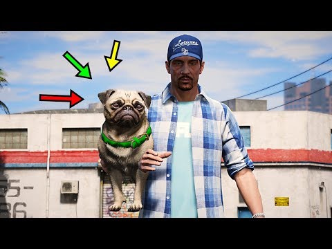 Видео: GTA 5 "Қорабай бомж жаңа ит сатып алды"