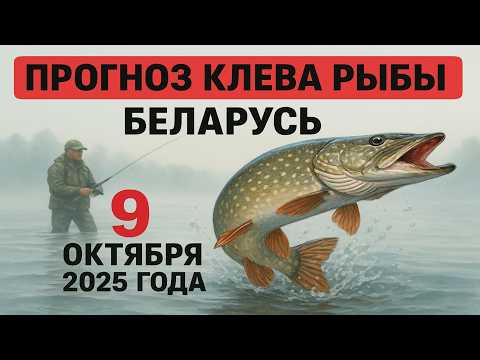 Видео: ПРОГНОЗ КЛЁВА в Беларуси на 9 октября 2025 года. Бросай все и на рыбалку!