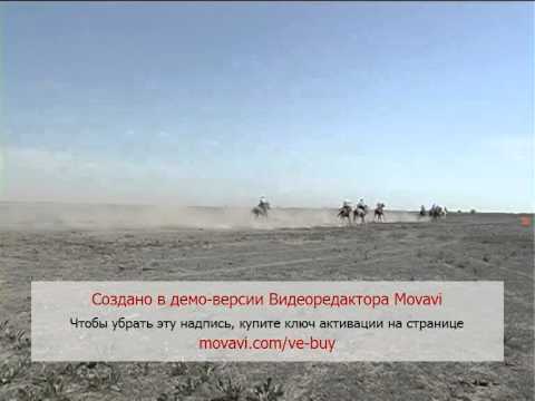 Видео: Аламан байге 2 Исатай ауданы