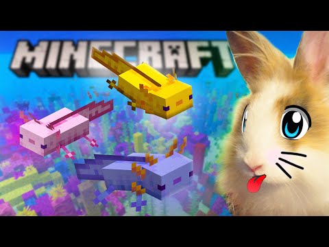 Видео: 100 ДЕНЬ на ОДНОМ БЛОКЕ в Майнкрафт! АКСОЛОТЛЬ для БАФФИ ! ВЫЖИВАНИЕ  8 ЧАСТЬ ЭКСТРЕМАЛЬНЫЙ ЧЕЛЛЕНДЖ