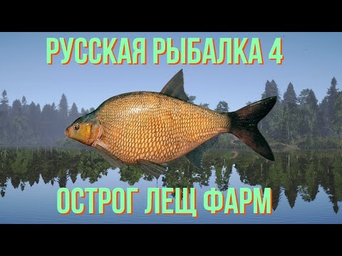Видео: Пошел на Старый Острог ловить леща но ошибся с наживкой!!