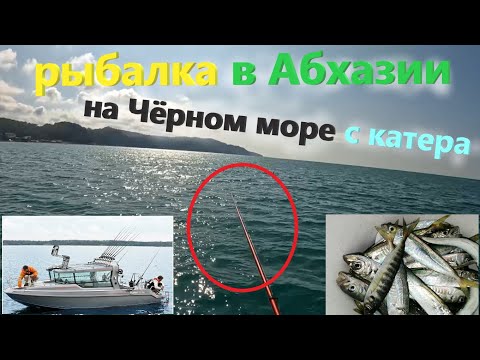 Видео: Утренняя рыбалка с катера в Абхазии на Чёрном море в Пицунде! Рыбалка в Пицунде с катера летом 2025.