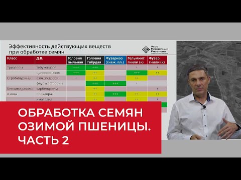 Видео: Озимая пшеница: делать ли анализ семян и чем обрабатывать? Часть 2  | Агроном | Сергий Ризанов