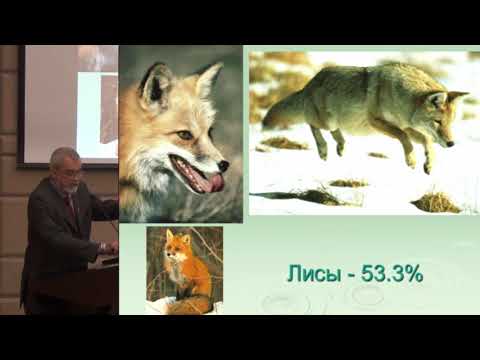 Видео: Никифоров В.В. Актуальные вопросы бешенства | Бешенство, симптомы бешенства, признаки бешенства