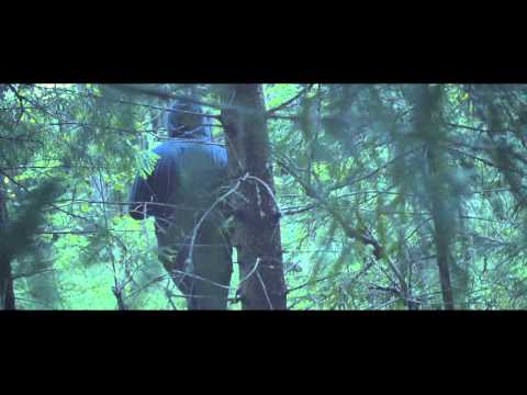 Видео: Ассаи / Погружение - Неземная любовь (biblioteka.im, 2013)