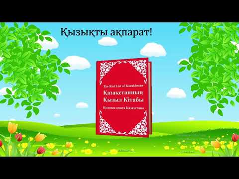 Видео: жаратылыстану 2-сынып 6-сабақ  Өсімдіктерді күтудің маңызы