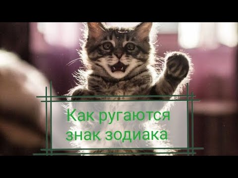 Видео: как ругаются знаки зодиака