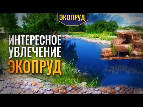 Видео: Интересное увлечение Экопруд