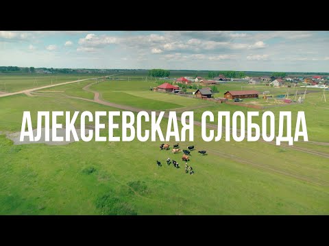 Видео: АЛЕКСЕЕВСКАЯ СЛОБОДА | Сибирь здесь – 06 ноября 2025