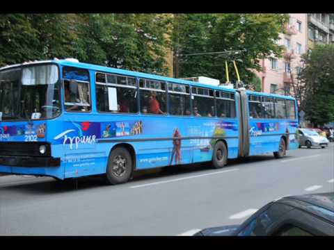 Видео: Тролей Номер 10