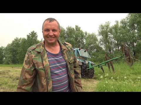 Видео: Ворошение травы граблями Солнышко или еще одна проверка сена. Деревенский сенокос.