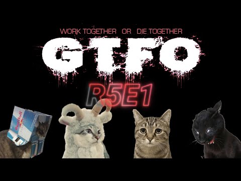 Видео: GTFO R5E1 - Уроки выучены | Стрим
