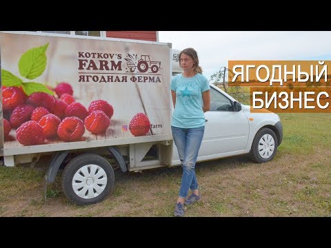 Видео: Ягодный бизнес. Свежая малина. Ферма Kotkov s Farm