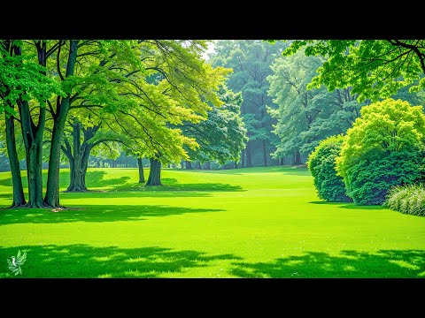 Видео: Лечебная музыка для сердца и сосудов 🌿 Успокаивает нервную систему и радует душу #3