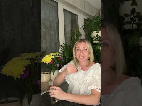 Видео: 💕 КАКИХ ОТНОШЕНИЙ ХОЧЕТ МУЖЧИНА 💕