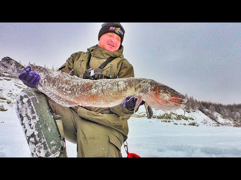 Видео: ЭТО ЗВЕРИНЫ!!! ПОЙМАЛ ЧЕРНОГО ДИКАРЯ, РЕКОРД ПОБИТ!!! Рыбалка, первый лед 2021-2022. Якутия.