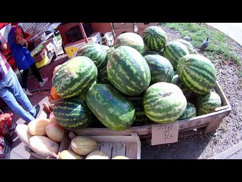 Видео: Захотелось мне арбуза.