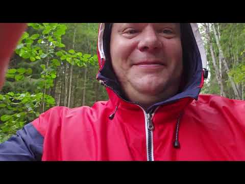 Видео: Кемпинг | Грибы | Закрытие сезона 2025