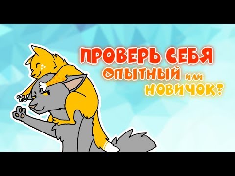 Видео: Catwar | Игра глазами новичка и опытного #1