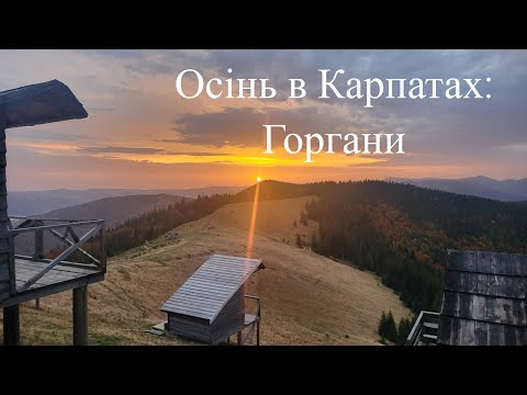 Видео: Осіння магія Карпат: Дводенний похід на полонину Явірник