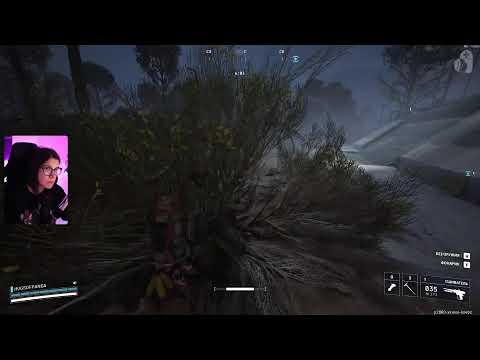 Видео: ДОБРОЕ УСТРИЦА #hugsofpanda #arcraiders