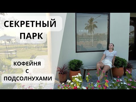 Видео: Безлюдный парк и стейки от 100 бат. Паттайя. Таиланд 2024.