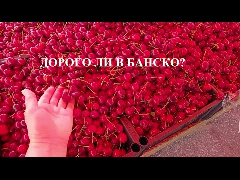 Видео: БАНСКО РЫНОК ЛЕТО 2024