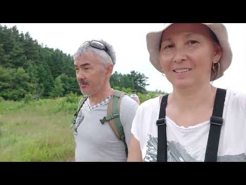 Видео: Рыбалка ПРЕТ у Вовы.. Берег Охотского моря. Закоптили минтай по совету подписчиков..