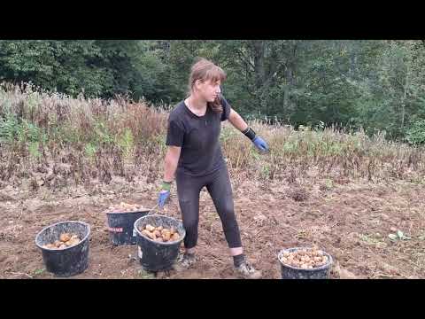 Видео: 🌿 Сила в горах: Дівчина, яка робить неможливе 🌿