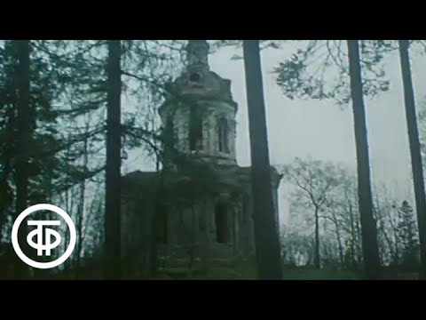 Видео: Забытые места (1986)