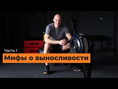 Видео: Мифы о выносливости: [часть 1]
