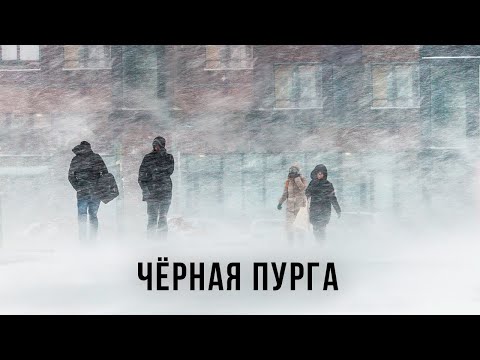 Видео: Ветер сбивает людей с ног в -40. Это Черная пурга в Норильске!