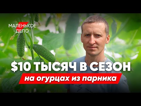 Видео: Живет в теплице и выращивает огурцы