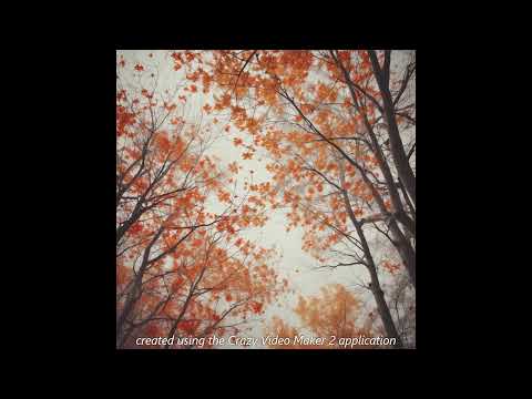 Видео: 150x2 #Не-зная-как-поступить #музыка #видеоклип #рекомендации