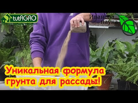 Видео: ВАЛЯЕТСЯ ПОД НОГАМИ и ЖДЁТ, КОГДА ЕЁ ЗАБЕРУТ: лучшая добавка в грунт для рассады прямо из природы.