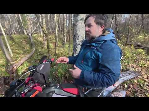 Видео: преисполниться на эндуро мотопревозмогания по лесам