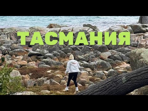 Видео: Тасмания - Новая Зеландия Австралии