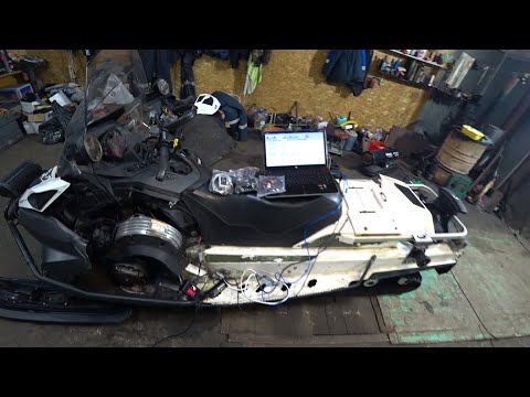 Видео: BRP - терпи или  как не купить ..Кота в мешке..