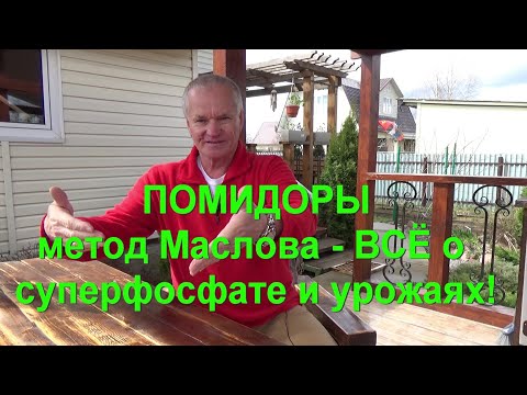 Видео: 58. ПОМИДОРЫ - всё о суперфосфате к методу Маслова и урожае!