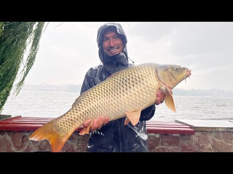 Видео: Такой рыбалки на ДИКАРЕ Вы не видели ! Карпы и огромные лещи не дают покоя.