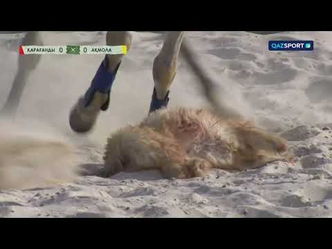 Видео: Көкпар. ҚР Чемпионаты. 8-ойын